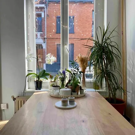 Maison Avec Jardin A - La Pepiniere * Lille